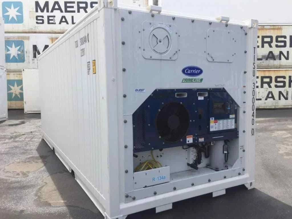 20 Feet Freezer Container NEW Compact Mobile Cold Storage Cell Carrier / Reefer — photo 3