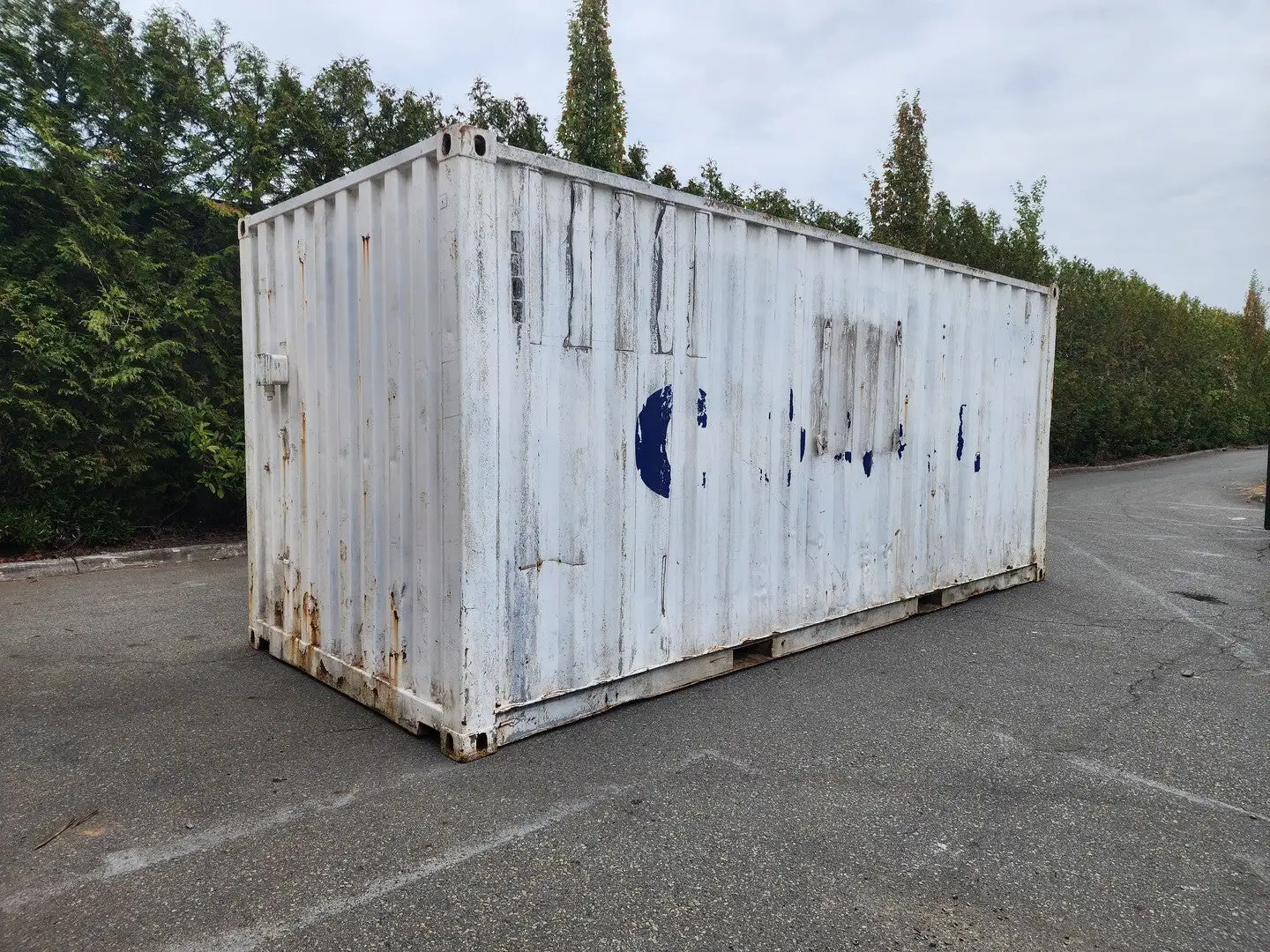 20 ft Container w/ Shelf, Electrical & Lighting — photo 4